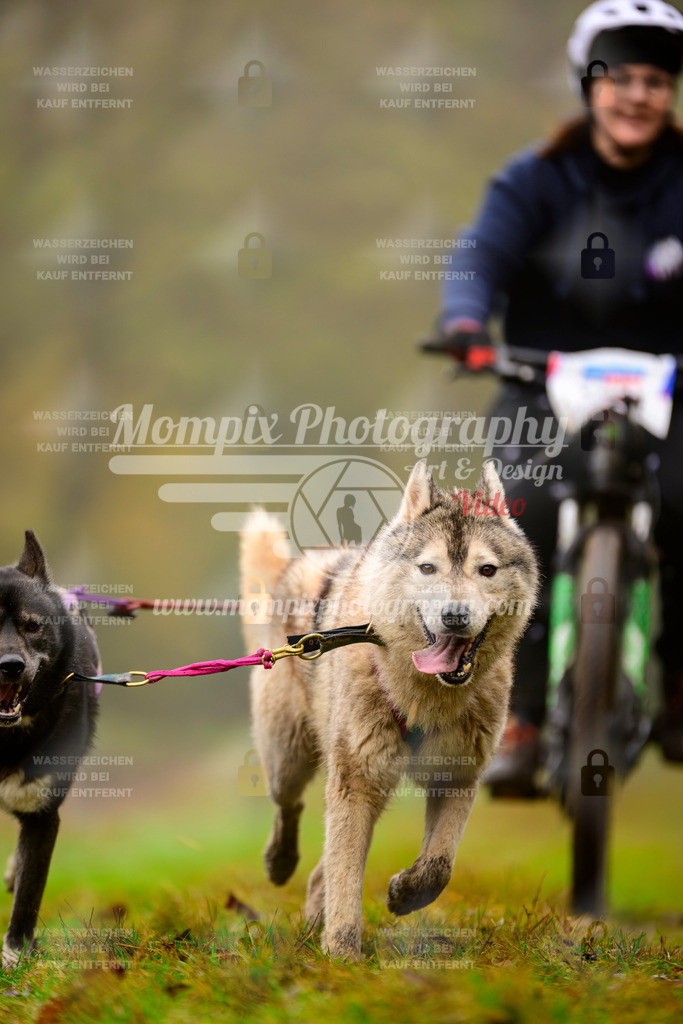 MompixPhotography_Bischwiller2025_Bike-154 | mompixphotography