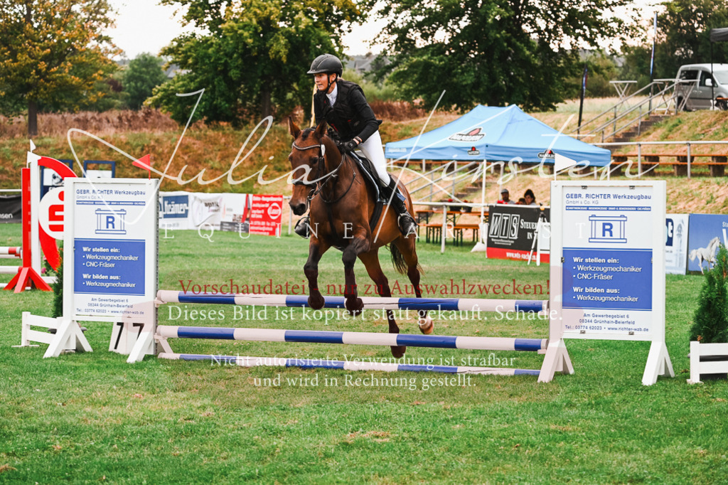 DSC_5871 | Pferde- und Turnierfotografie in Westsachsen. Pferdeportraits, Auftragszeichnungen und intuitive Kunst.