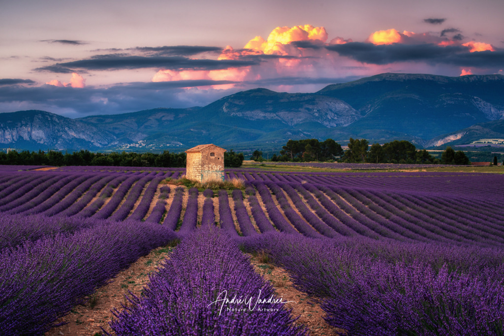 Abendstimmung in der Provence | Andre Wandrei - Nature Artworx - Realisiert mit Pictrs.com