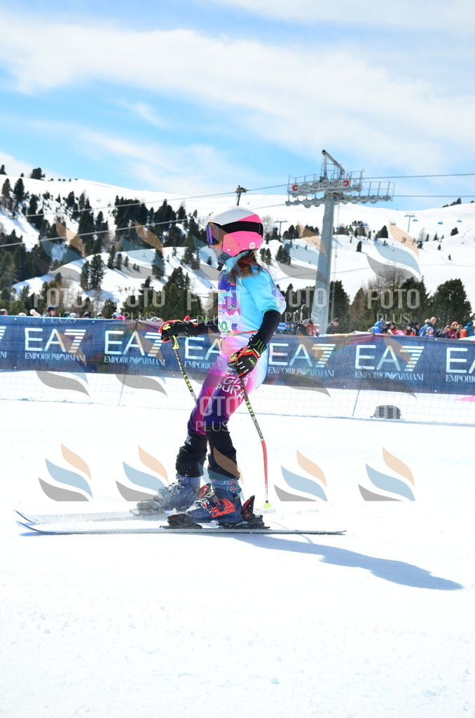 SLV_5993 | holidayphoto