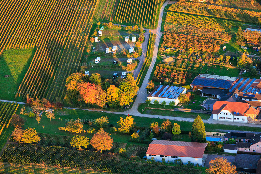 Luftbild: Wohnmobilstellplatz Geiger im Herbstlaub in Dierbach im Bundesland Rheinland-Pfalz in Deutschland. Foto: IMG_150401.jpg vom 15.10.2025 durch Werner Riehm/FLY-FOTO.de