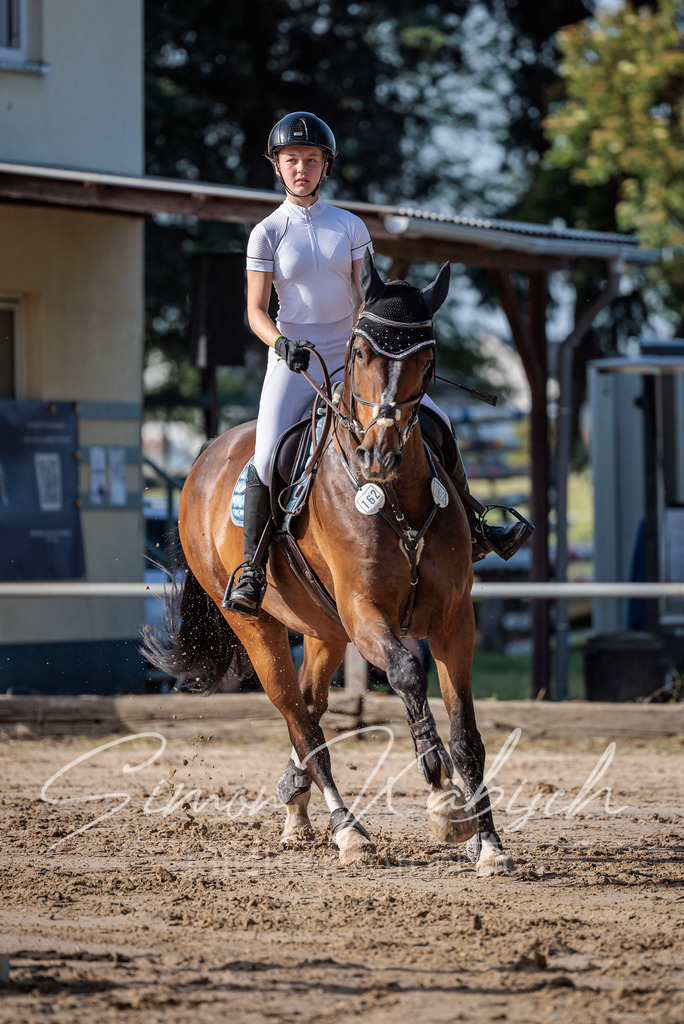 20260529-_3LI0225 | Tierfotografie Pferde, Hunde, Katzen, Haustiere.
Turnierfotografie Reitturniere, Reiten, Springreiten, Dressur in Hanau, dem Main-Kinzig-Kreis und dem Rhein-Main- Gebiet um Frankfurt