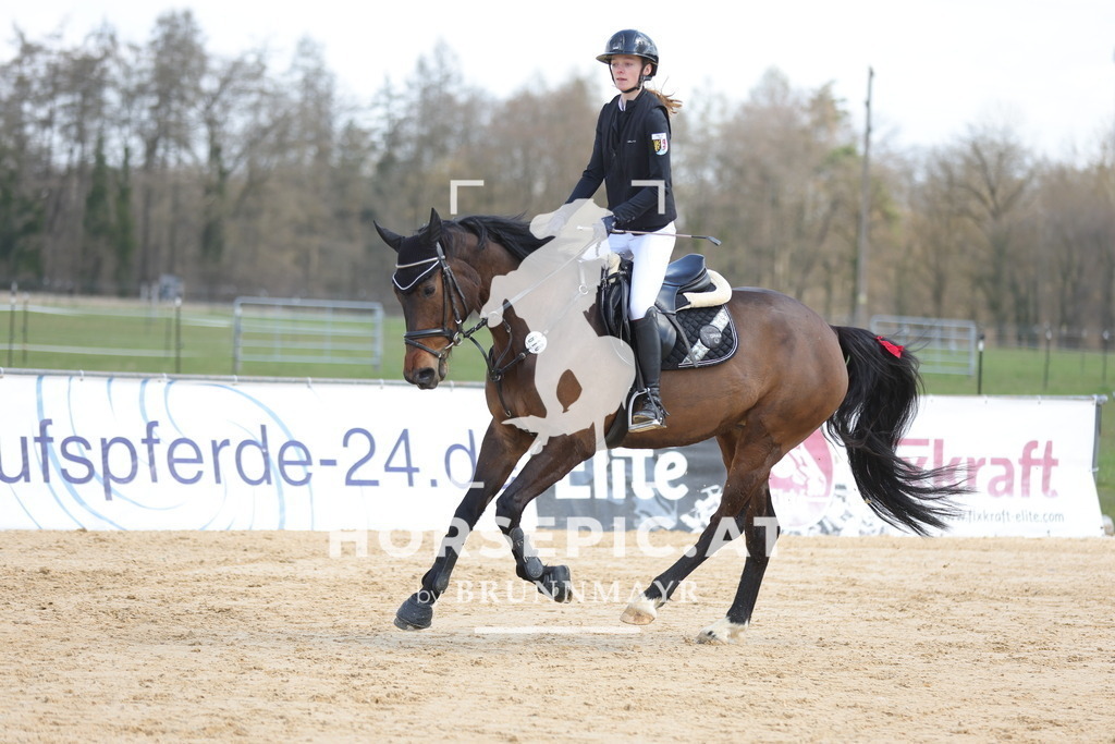 0P6A7481 | Willkommen bei Brunnmayr - Design & Fotografie – Ihrem Spezialisten für Reitturniere und Pferdeveranstaltungen in Oberösterreich, Salzburg und Bayern! Seit über 17 Jahren sind wir leidenschaftlich dabei.