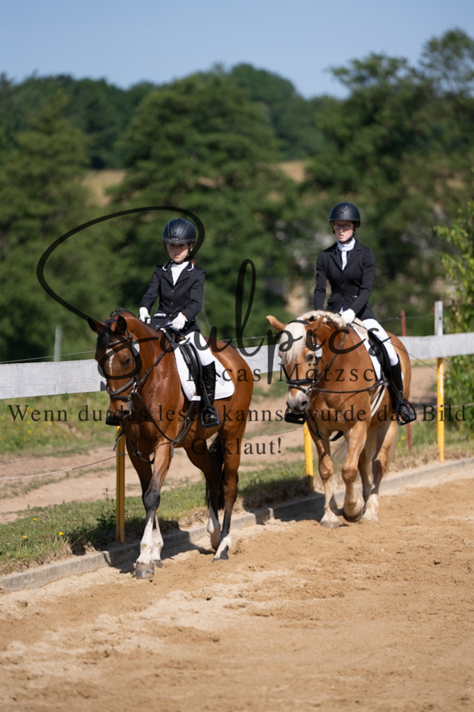 A7V07754 | Pferdefotograf