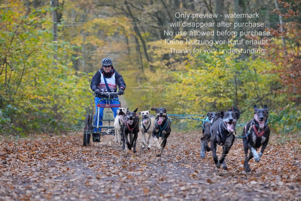 Rigs4bis8So-108 | stephaniefillaphotographie - Realisiert mit Pictrs.com