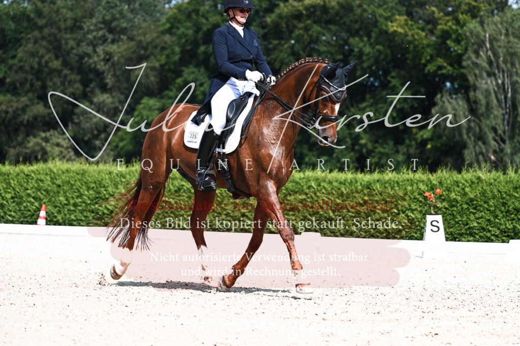 DSC_3182 | Pferde- und Turnierfotografie in Westsachsen. Pferdeportraits, Auftragszeichnungen und intuitive Kunst.