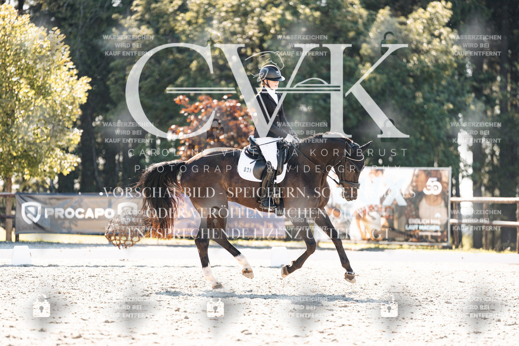 CK905857 | Turnierfotografie Pferdefotografie Trier Rheinland-Pfalz Pferdesport Reitsport Tierfotografie Sportfotografie Pferdevideo Pferdevideografie Equestrianvideography equestrianphotography  - Realisiert mit Pictrs.com