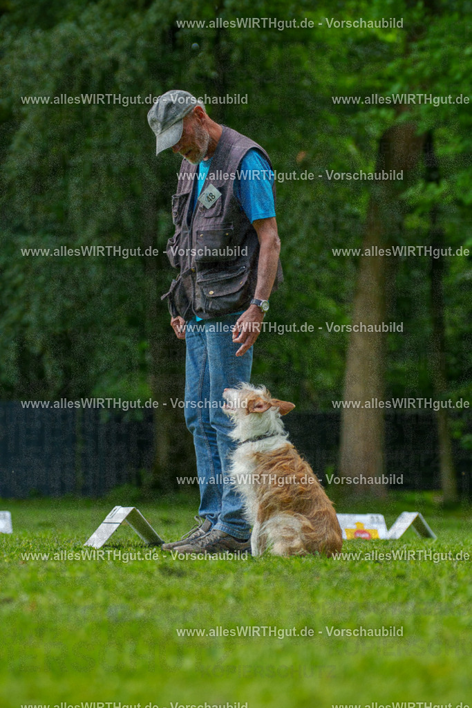 @allesWIRTHgut_Tierfotografie - www.allesWIRTHgut.de - 7R505513 | Professionelle Tierfotografie in Mönchengladbach von Daniel Wirth (allesWIRTHgut). Liebevolle & natürliche Bilder von Hunden & Katzen für unvergessliche Erinnerungen.