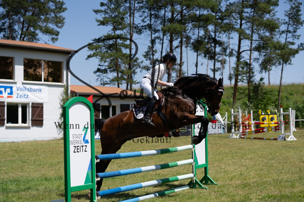 A7V06077 | Pferdefotograf