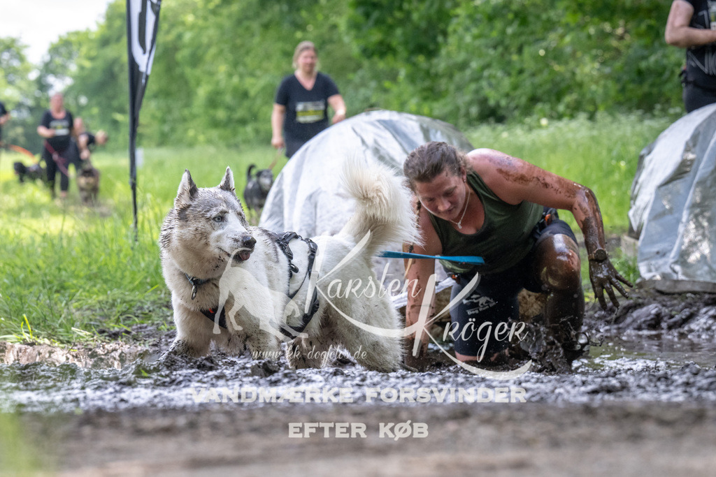 1239_ZZ92851 | kk-dogfotos