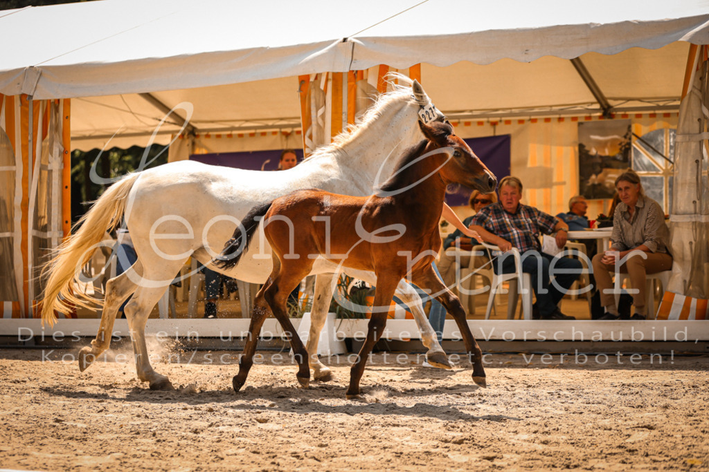 03.DoAB00048 | Leoni Ertmer Photography - Realisiert mit Pictrs.com