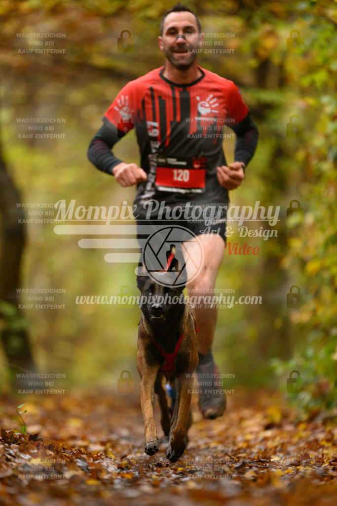 MompixPhotography_CD7S_DI_CCL-74 | mompixphotography