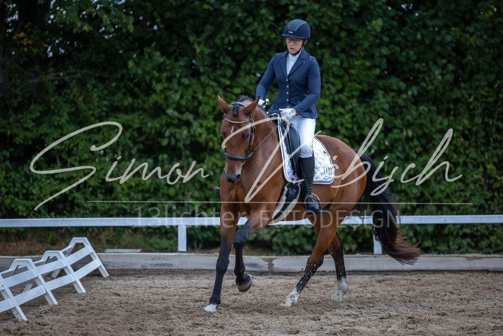 20260905-_3LI8141 | Tierfotografie Pferde, Hunde, Katzen, Haustiere.
Turnierfotografie Reitturniere, Reiten, Springreiten, Dressur in Hanau, dem Main-Kinzig-Kreis und dem Rhein-Main- Gebiet um Frankfurt
