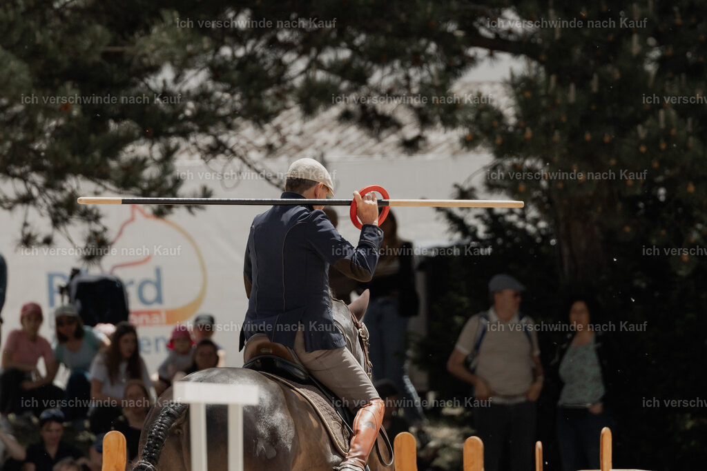 WE_ST_Stoib_320_PI2025_1098 | Pferd International München 2025