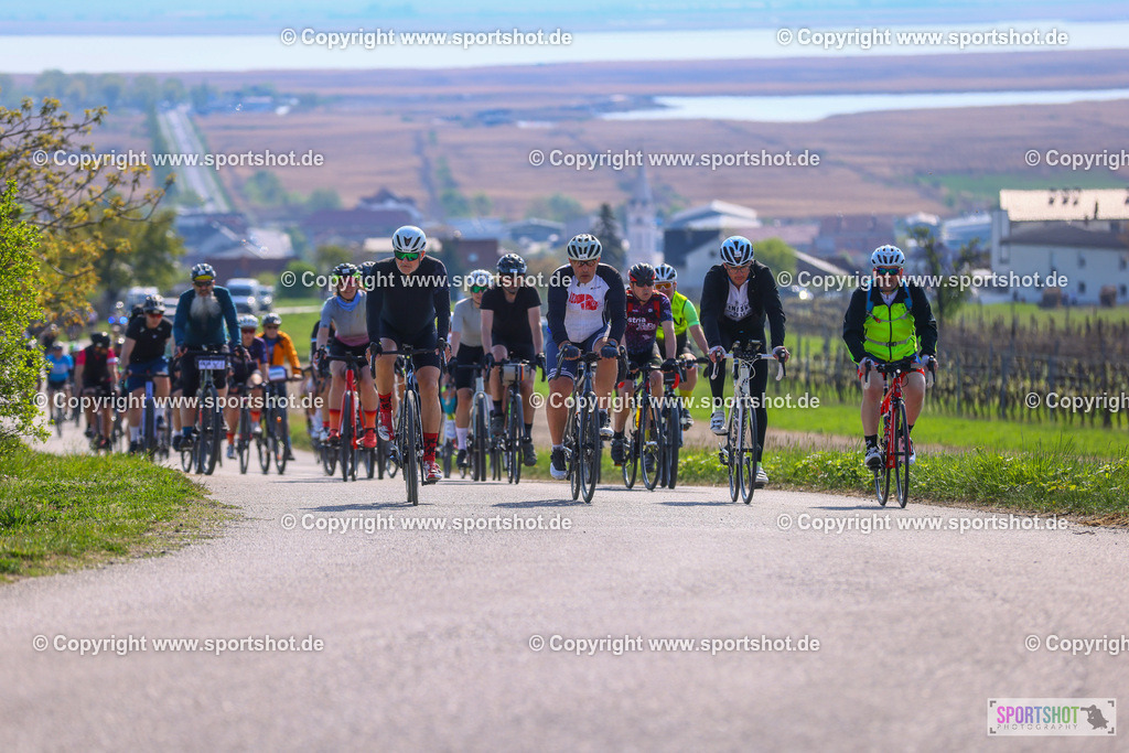 TRA_1101 | Neusiedlersee Radmarathon 2026@sportshot_your_pictrs #yourpictures#roadtowm2029 #nrm #neusiedlerseeradmarathon #neusiedlersee #neusiedlerseetourismus #burgenland #mörbisch #nrm26 #burgenlandtourismus #voglundco #poweredbyburgenlandtourismus #radsport #rad #marathon #ucigranfondo #visitburgenland #ucigranfondoworldseries