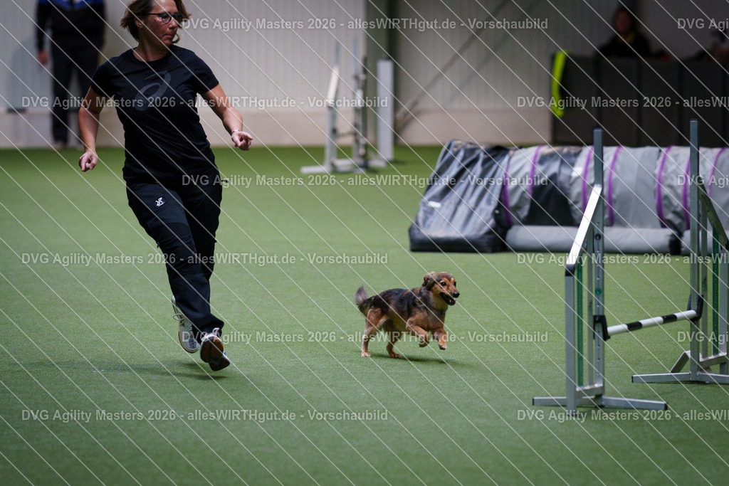 allesWIRTHgut_Tierfotografie-DVG_Agility_Masters_2026-12_23-7R508114 | Professionelle Tierfotografie in Mönchengladbach von Daniel Wirth (allesWIRTHgut). Liebevolle & natürliche Bilder von Hunden & Katzen für unvergessliche Erinnerungen.