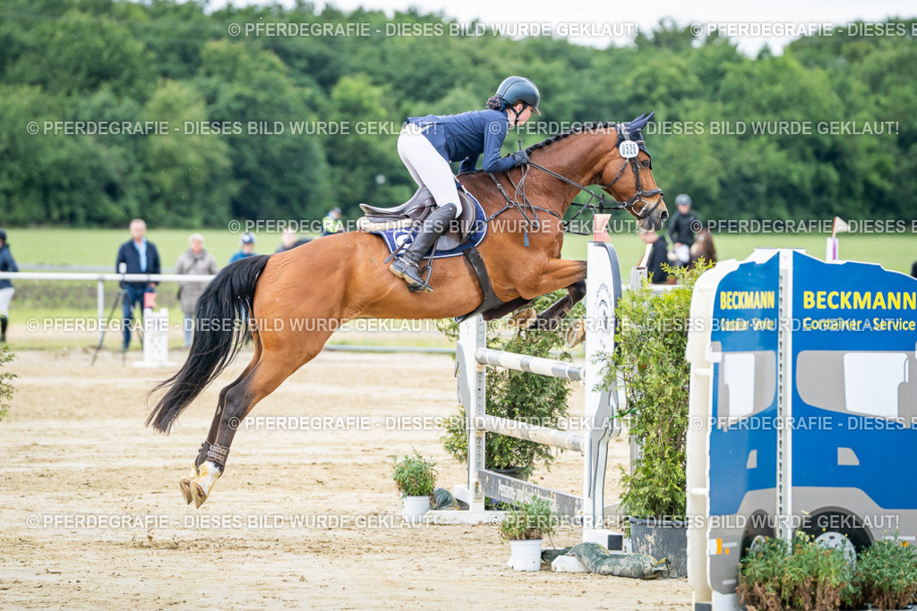 DSC04101 | Pferdegrafie