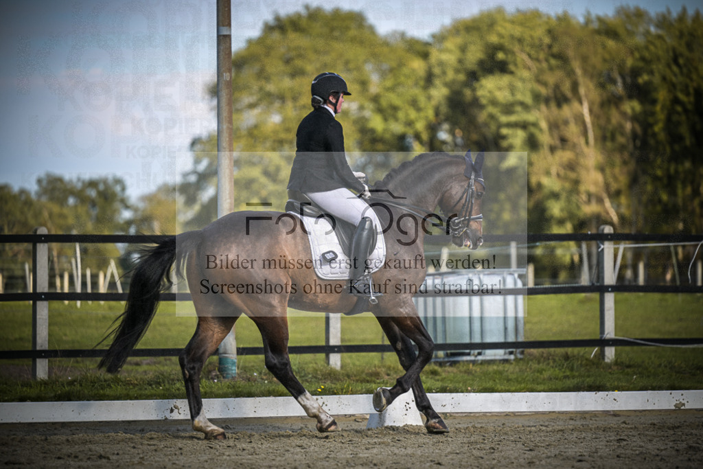 DOS_4771 | Entdecke hochwertige Reitturnierfotos von Foto Oger. Professionell, emotional und authentisch – jetzt Lieblingsmomente im Shop bestellen.Deutschlandweite Turnierfotografie. - Realisiert mit Pictrs.com
