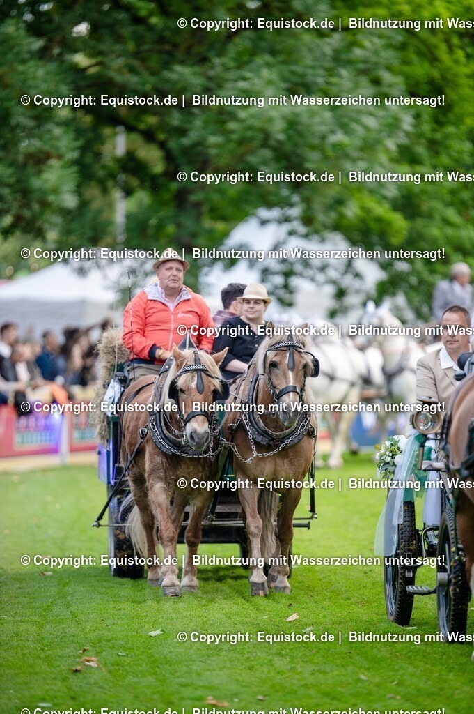 20250606_Lange-Pferdenacht_0201 | Foto: Thomas Hartig