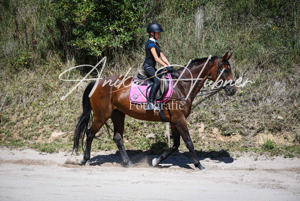 DSC_0904 | anikahuebner - Realisiert mit Pictrs.com