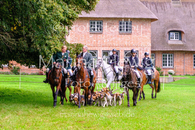 Jagd Perdoel 26 Fuji-9661_MarinaHewig | Fotografie, FotoArt, PferdesportArt, Pferdesportfotografie, Landschaftsfotografie, Reisefotografie, Reise, Pferde - Realisiert mit Pictrs.com