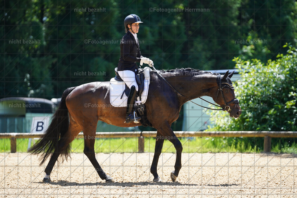 20240705-FAH03682 | Turnierbilder von Grafing, Reitsportbilder, Turnierfotos, Turnierfotografen Bayern, Pferdefotograf, Fotoagentur Herrmann