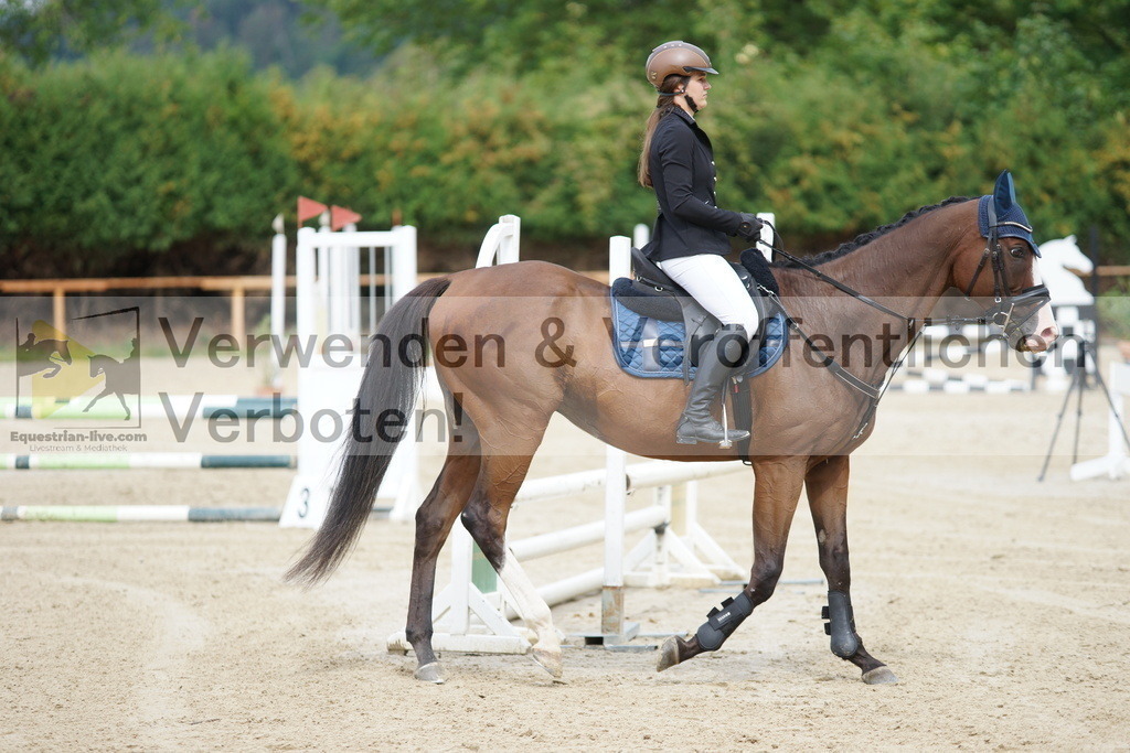 DSC06193 | equestrian-live-com