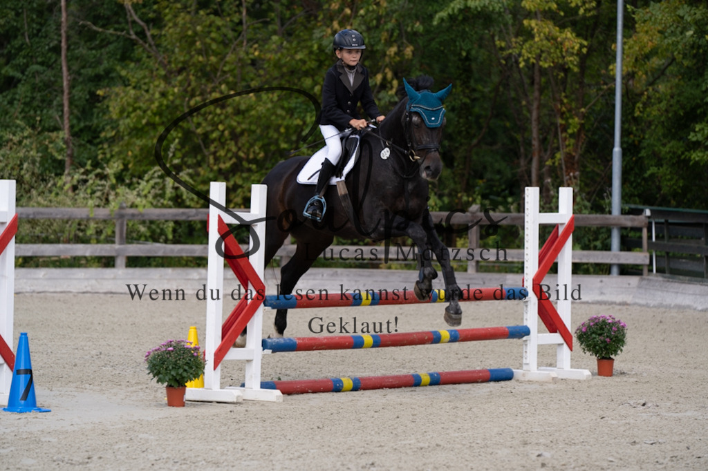 A7V07293 | Pferdefotograf