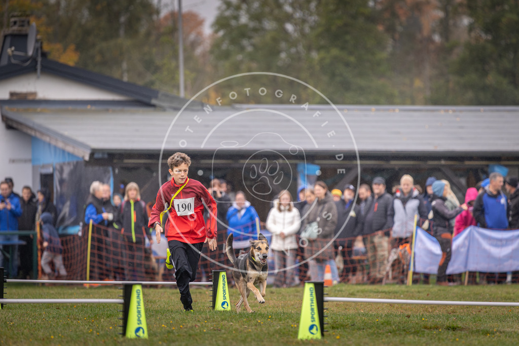 Pfotenfotografie_DV3A9883 | Hundefotografie, Tierfotograf, Pfotenfotografie, Fotoshooting Hund, Hunde Portrait, Hundesport, Hundeportraits, Heideshooting, Hunde, Sportfotograf, Hundefotograf, Turnierhundsport, THS,  - Realisiert mit Pictrs.com