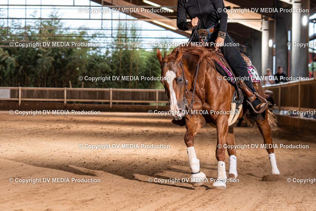 Erbach Tag 1-1226 | dv-media-shop - Realisiert mit Pictrs.com