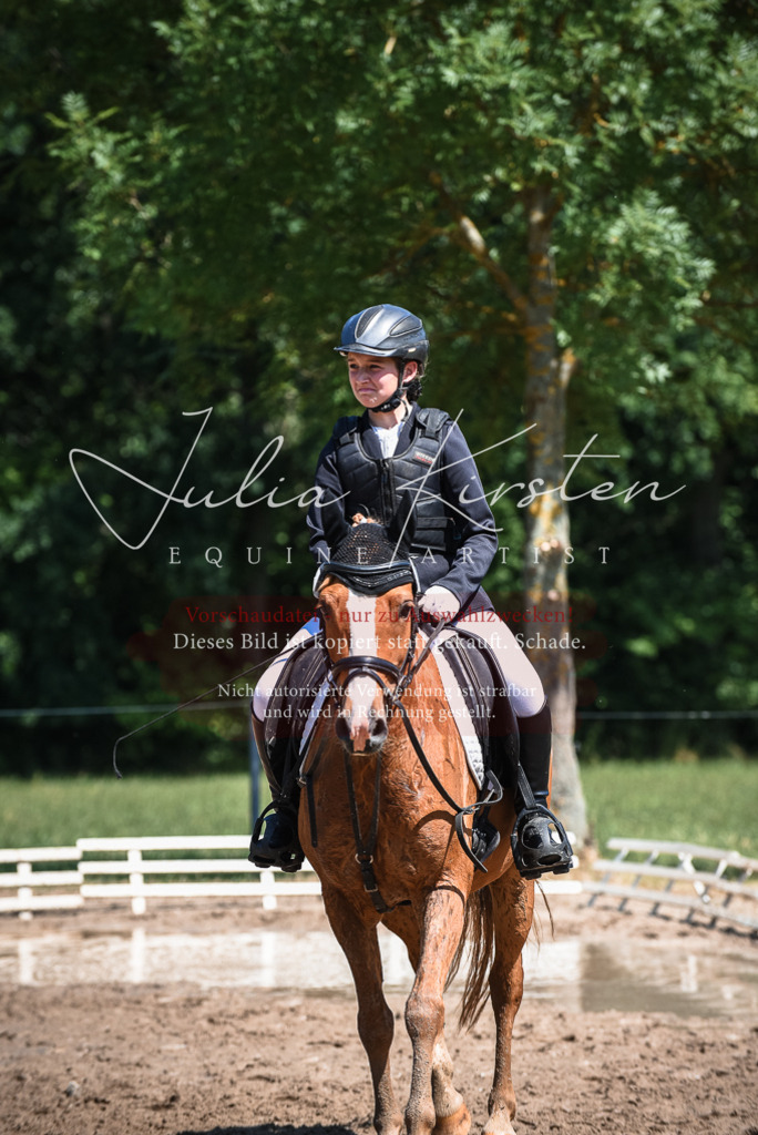 DSC_3248 | Pferde- und Turnierfotografie in Westsachsen. Pferdeportraits, Auftragszeichnungen und intuitive Kunst.