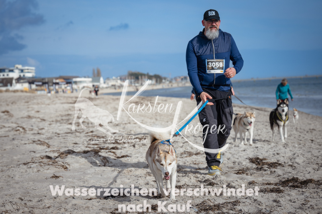 1305_ZZ90166 | kk-dogfotos