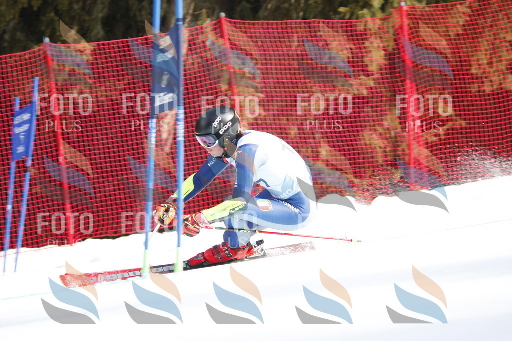 D7643 | holidayphoto