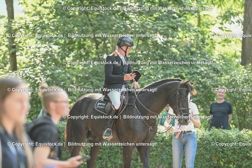 D78_3622 | equistock