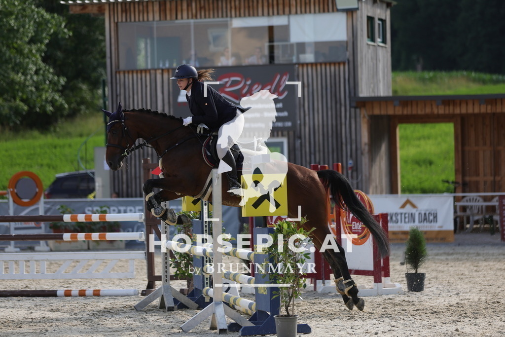 0P6A6418 | Willkommen bei Brunnmayr - Design & Fotografie – Ihrem Spezialisten für Reitturniere und Pferdeveranstaltungen in Oberösterreich, Salzburg und Bayern! Seit über 17 Jahren sind wir leidenschaftlich dabei.