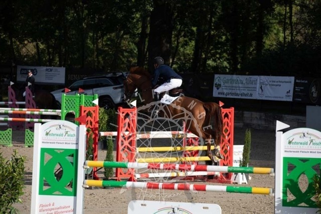 2B4A1050 | pixelfaenger - Realisiert mit Pictrs.com