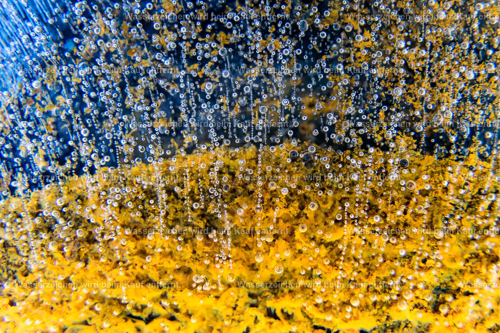 Die Schönheit der Vielen | Die Botschaft zum Bild lautet: Spüre die Macht und die Kraft und die Schönheit der vielen Seelen, die hier sind und siehe, was sie aus der Ursuppe erschaffen haben. Und es sind nicht nur Menschenseelen. Spüre die große Verbindung hinter den Seelen. Du bist ein Teil davon und sie sind ein Teil von dir. Du bist nicht allein. Spüre diese Kraft.