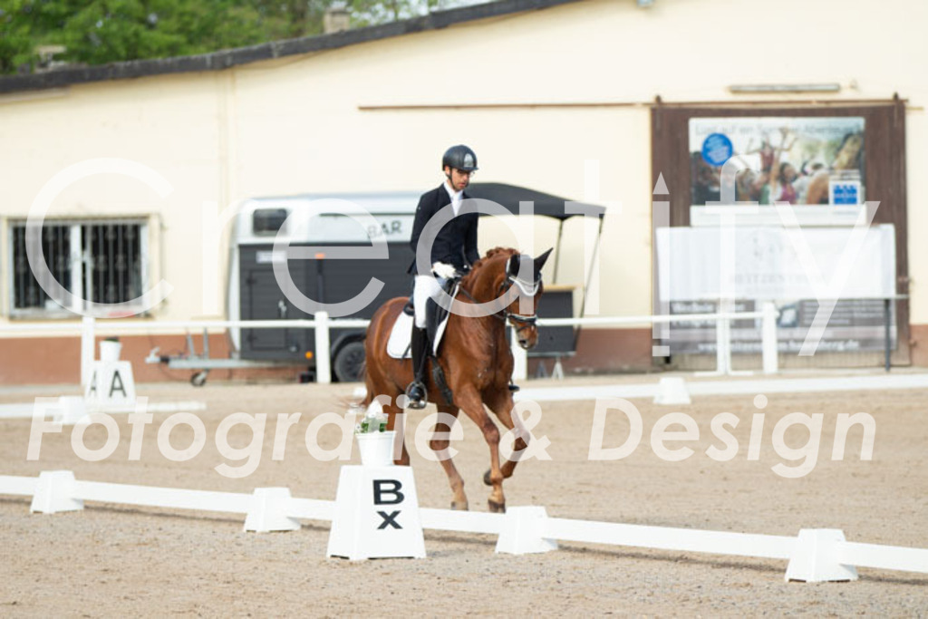 IMG_0584 | Creatify Fotografie