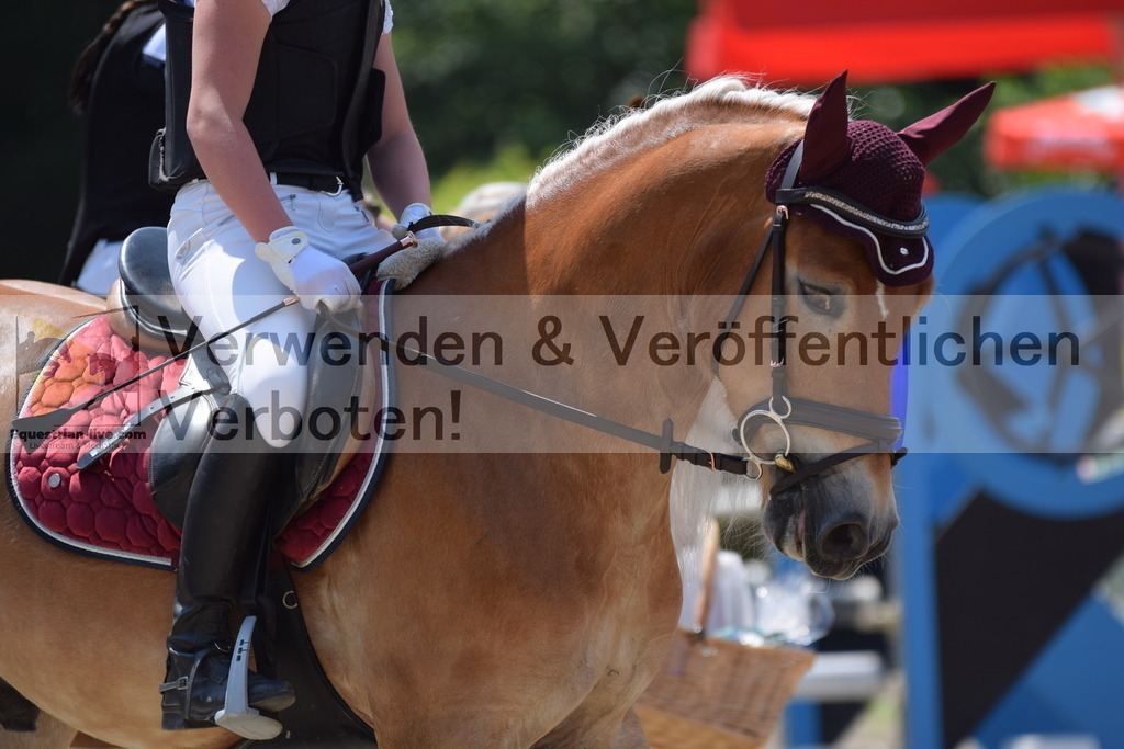DSC_0002 | equestrian-live-com