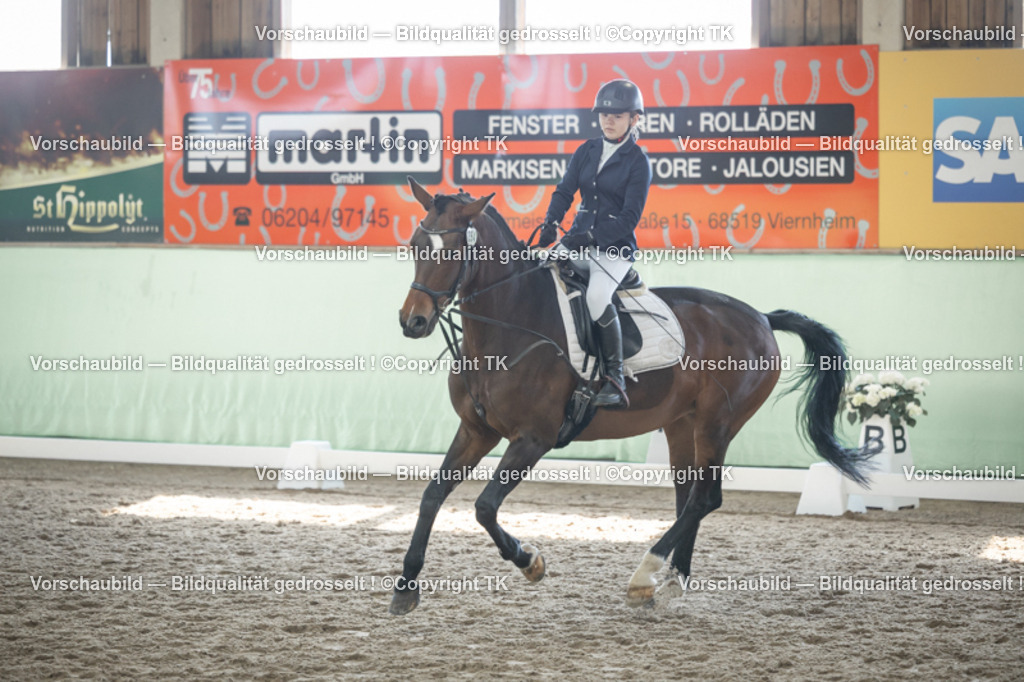 _D5A8990 | Emotionale Pferde- & People-Fotografie rund um Heidelberg, Leimen & Umgebung. Natürliche Fotos von Pferd, Mensch & Familie. Jetzt Termin sichern!