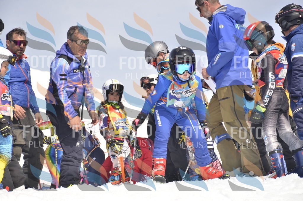 _ELE8538 | holidayphoto