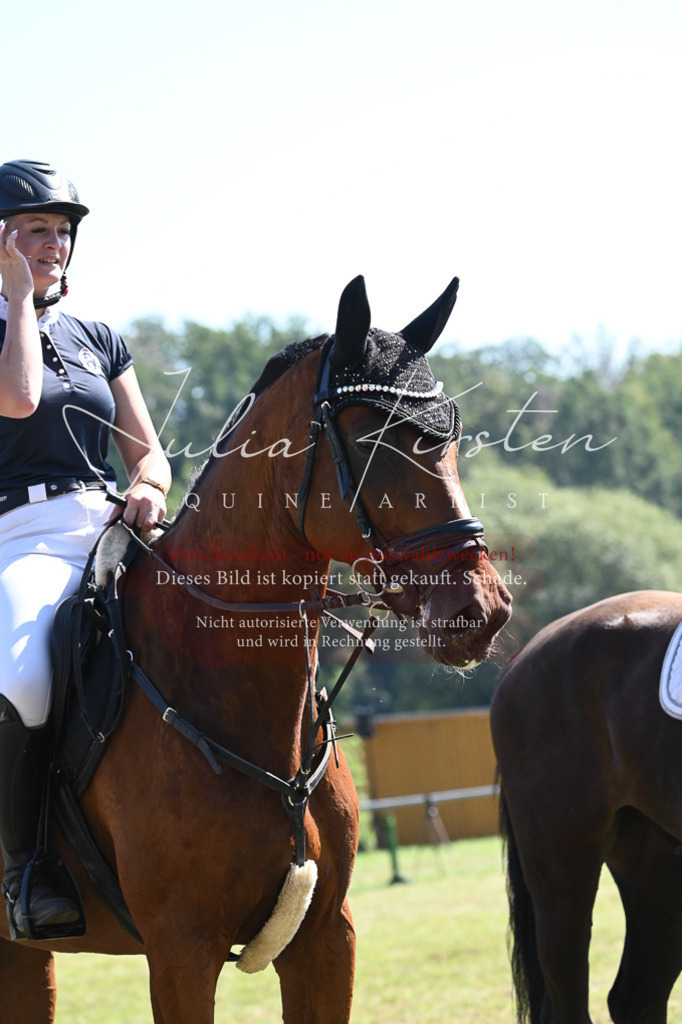 DSC_6492 | Pferde- und Turnierfotografie in Westsachsen. Pferdeportraits, Auftragszeichnungen und intuitive Kunst.