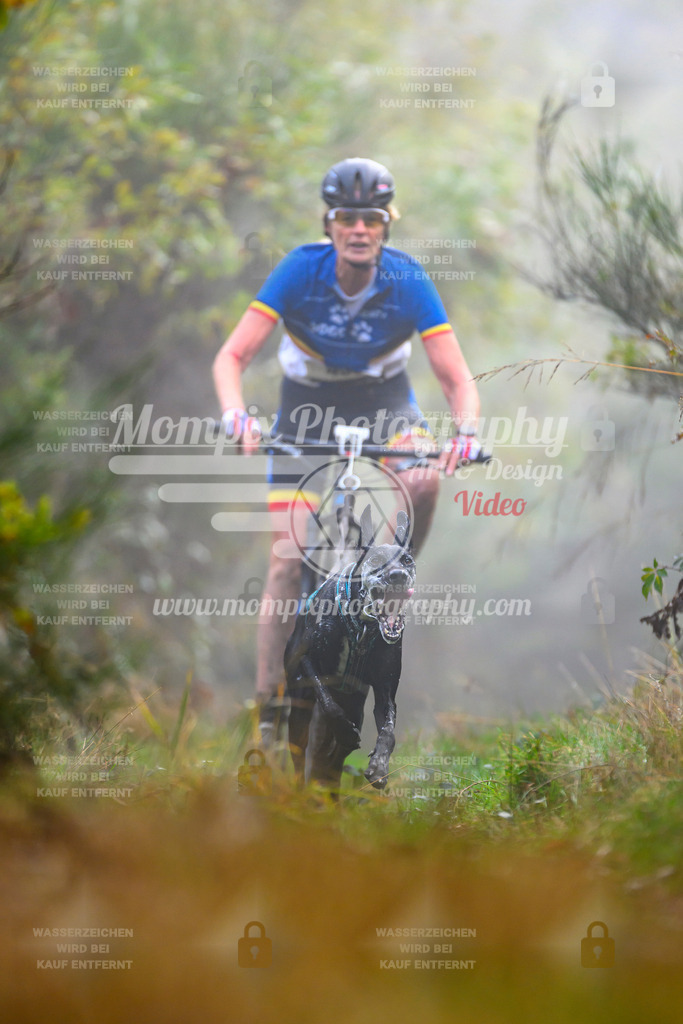 MompixPhotography_20TSB_E4_Bike-31 | PayLife
