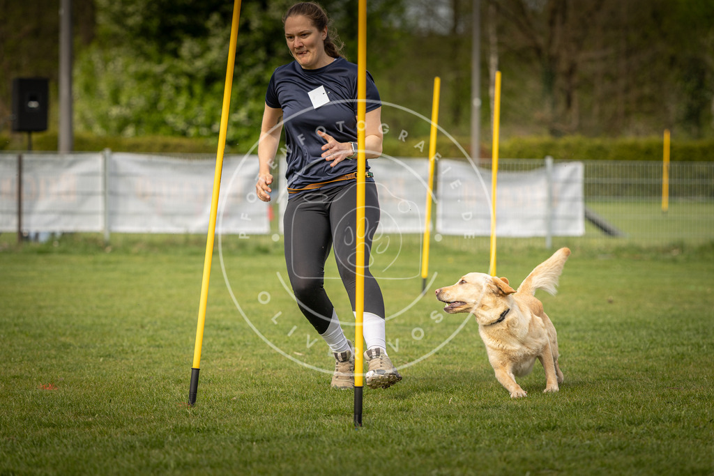 Pfotenfotografie_DV3A5121 | Hundefotografie, Tierfotograf, Pfotenfotografie, Fotoshooting Hund, Hunde Portrait, Hundesport, Hundeportraits, Heideshooting, Hunde, Sportfotograf, Hundefotograf, Turnierhundsport, THS,  - Realisiert mit Pictrs.com
