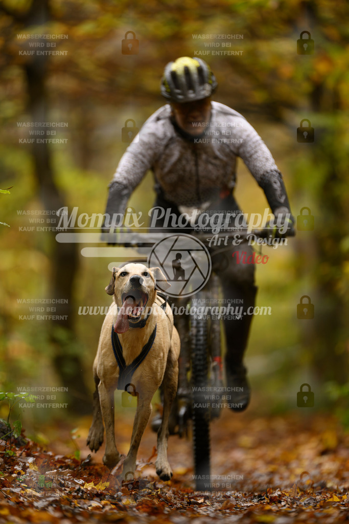 MompixPhotography_CD7S_DI_Bike-74 | mompixphotography