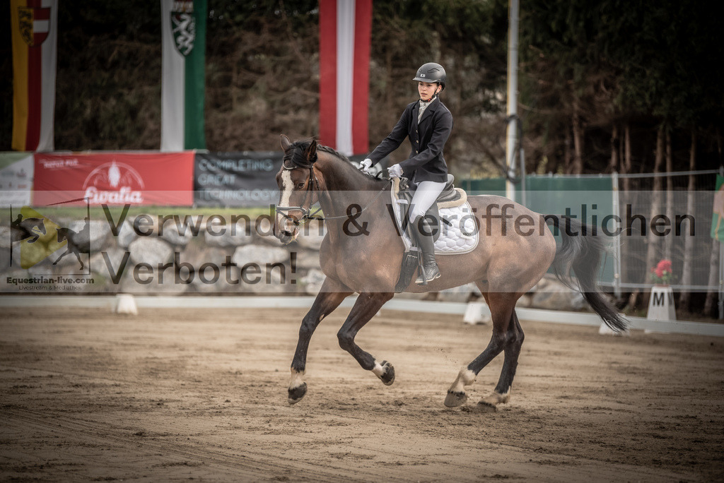 DSC_8335 | equestrian-live-com