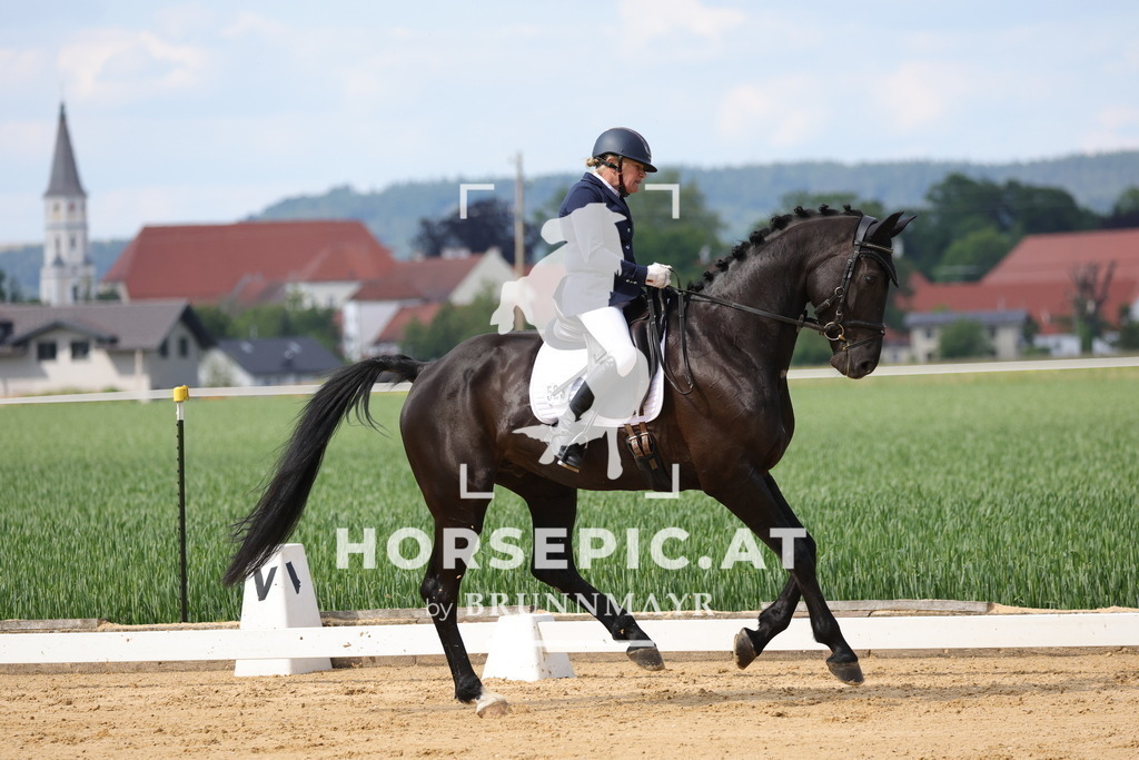 0P6A9096 | Willkommen bei Brunnmayr - Design & Fotografie – Ihrem Spezialisten für Reitturniere und Pferdeveranstaltungen in Oberösterreich, Salzburg und Bayern! Seit über 17 Jahren sind wir leidenschaftlich dabei.