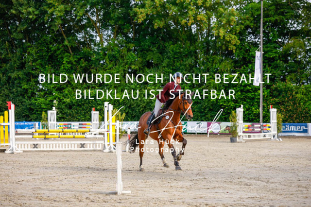 _62_3305 | larahueckfotografie