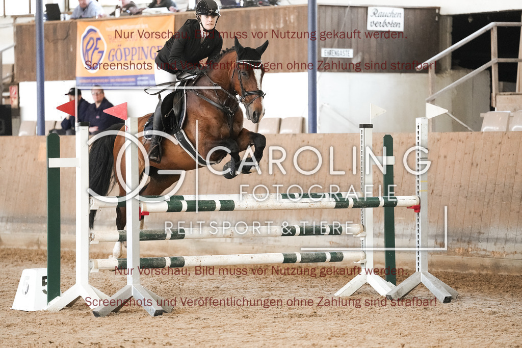 DSC00199 | Reitturnier_Göppingen_April_2026, Alisa_Fruh, Firmus_6