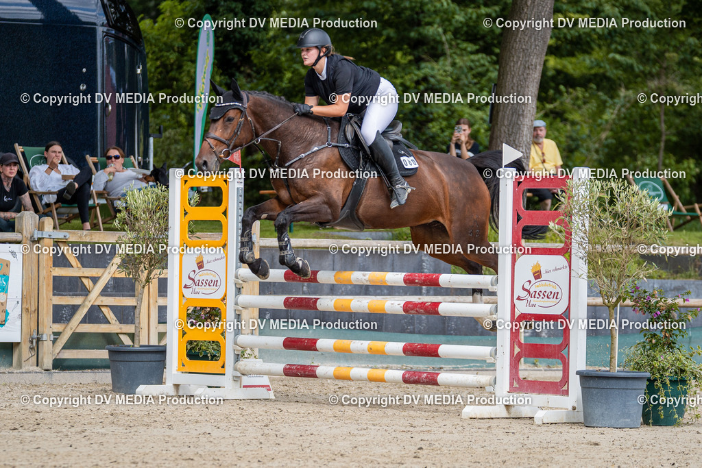 Hessische Tag 1-917 | dv-media-shop - Realisiert mit Pictrs.com